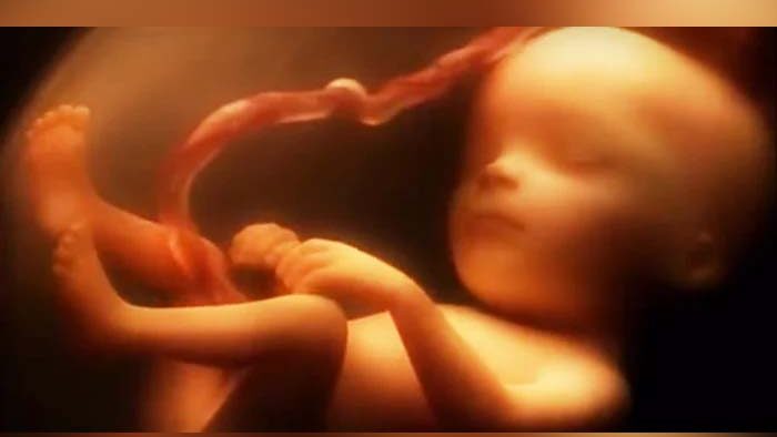 El drama del aborto en España en 2023